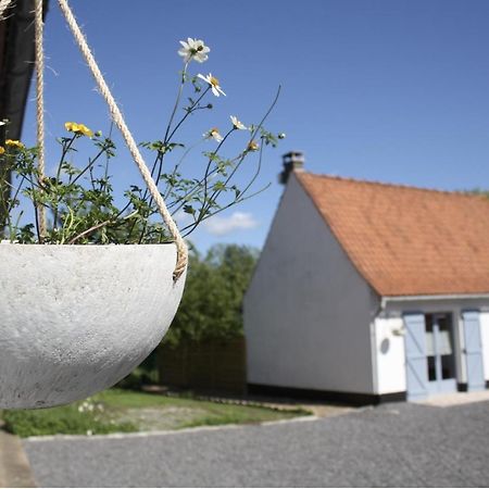 A L'Ombre Du Prunier Bed & Breakfast Licques Екстериор снимка